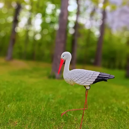 Maison d'hôtes Lesna Weranda Goscinne 3*