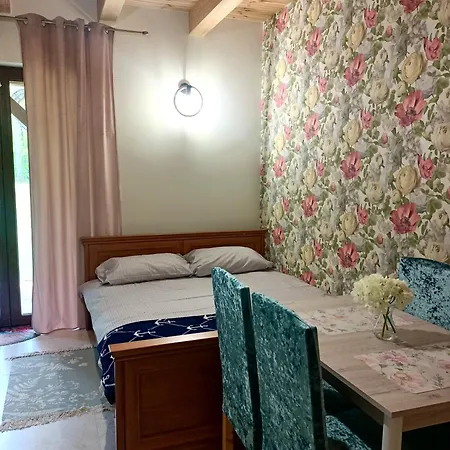Pensionat Lesna Weranda Goscinne Fb Lesna Weranda 3*