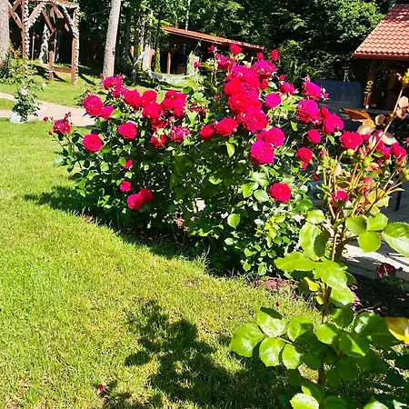 Pensionat Lesna Weranda Goscinne Ruciane-Nida