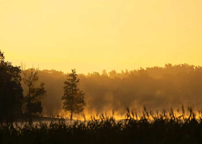 Lesna Weranda Goscinne Guest house 3*