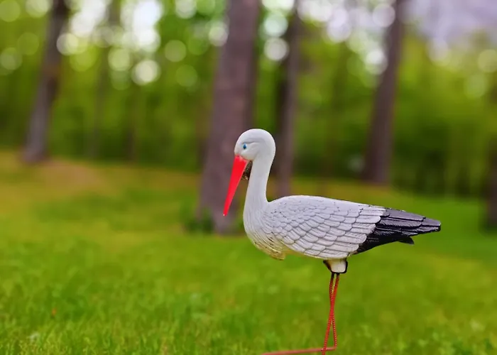 Гостевой дом Lesna Weranda Goscinne 3*