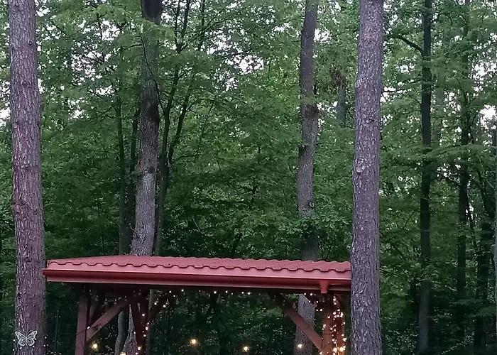 Lesna Weranda Goscinne Guest house